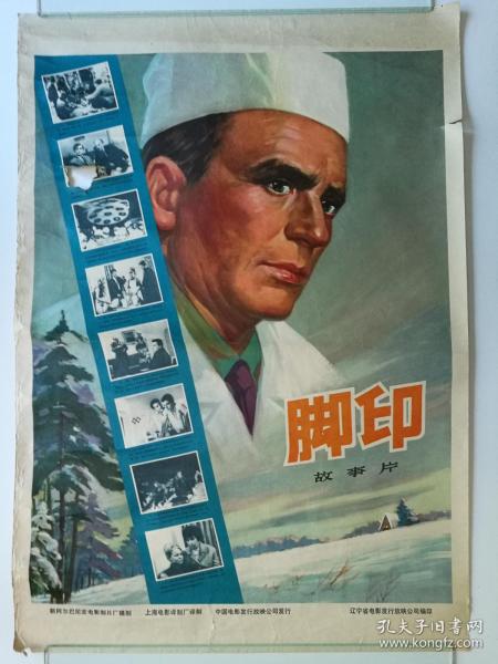 Università di Foggia商科文凭证书